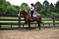 21B. 9-10 Equitation
