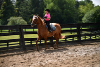 26B. 6 & Under Equitation