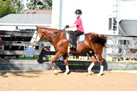 26B. 9-10 Equitation