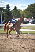 CED_1816