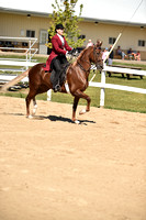 CED_8547