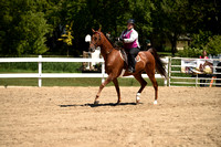 26. WTC Adult Equitation Championship