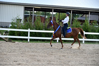 CED_0021