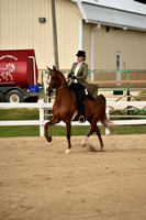 CED_0579