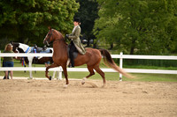 CED_0594