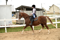 CED_1743