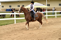 CED_1740