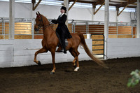18. Open Pleasure Walk/Trot Rider 12/Under