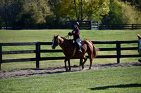 15B. 11-17 WT Equitation