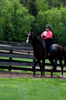 10B. WTC Adult Equitation