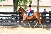 24B. 8 & Under Equitation