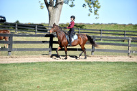 9B. 11-17 Equitation