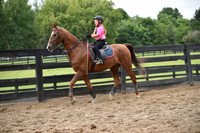 22B. 7-8 Equitation