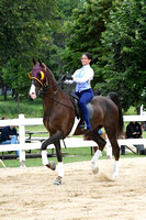 41. WT Equitation Novice