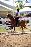 71. WT Exceptional Equitation