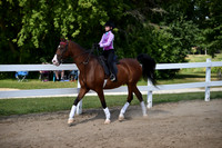 75A. WT SH Green Equitation