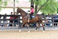 23B. 8 & Under Equitation