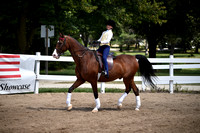 62. WT SH Equitation 8-10