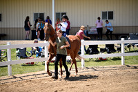 60. CH Advanced Leadline