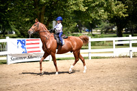 CED_0980