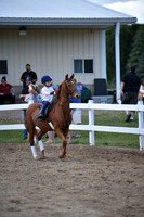 CED_1026