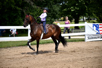 CED_0986